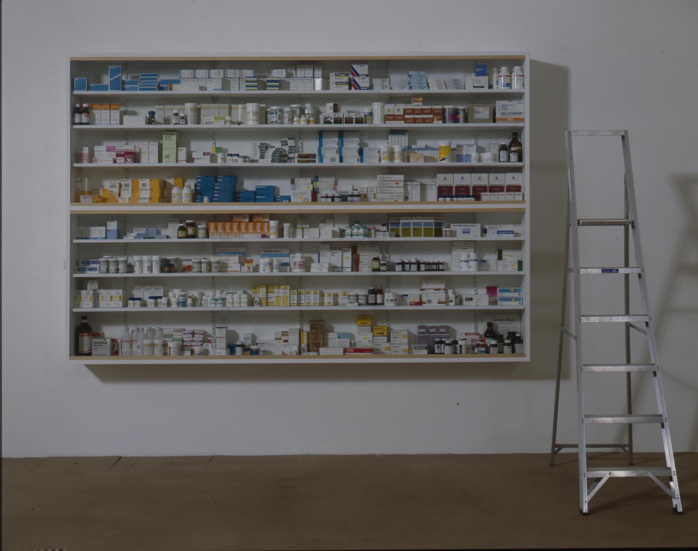 Damien Hirst, Weu0027re afraid of nothing, 1992